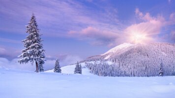 backiee-247218-Nieve2