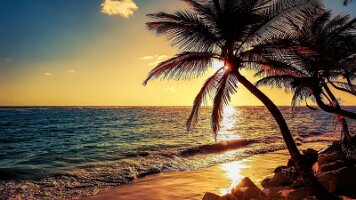 backiee-36081-playa